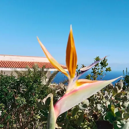 Eucaliptos Vakantiehuis Fasnia