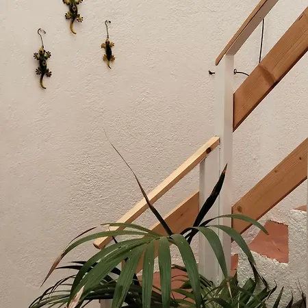 Eucaliptos 度假居 *