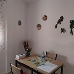Eucaliptos