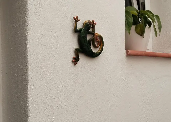 Eucaliptos *