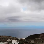 Eucaliptos Fasnia