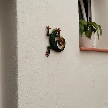 Eucaliptos *